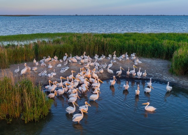 Danube Delta