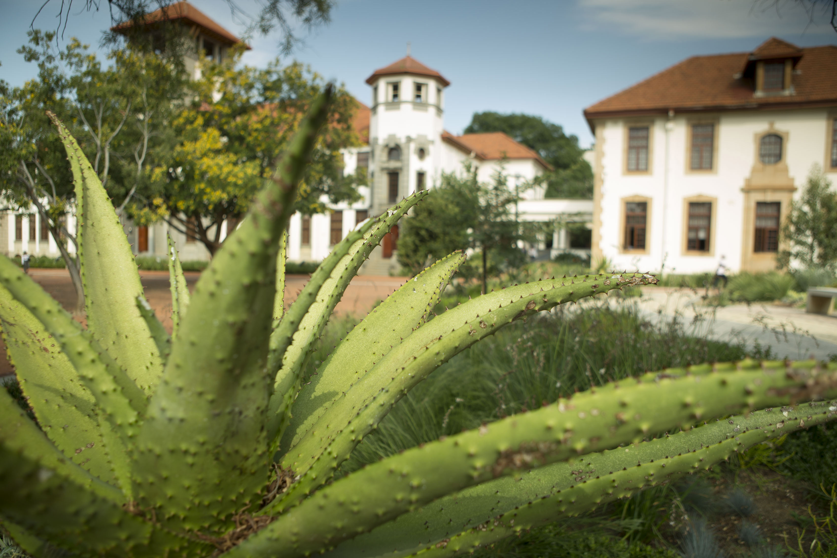 Bloemfontein Campus 3